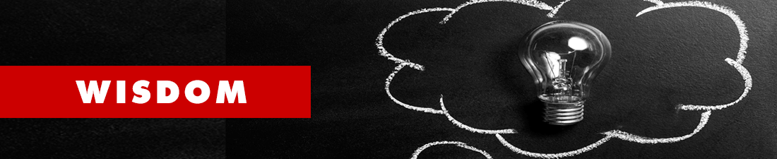 RS Wisdom Page Image min American Nonprofit Academy |