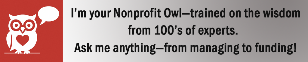 Nonprofit Owl. . Ask me anything! image of instructions to click and launch the Owl to the right