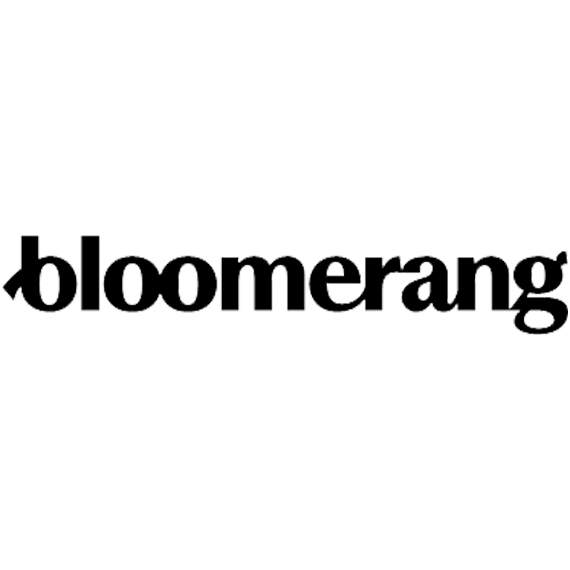 Bloomerang.com link