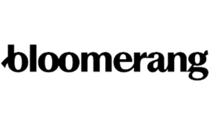 link to bloomerang nonprofit donor software