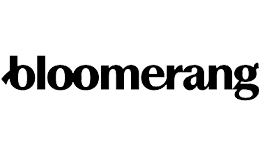 link to bloomerang nonprofit donor software