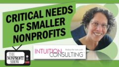 The Critical Needs Of Smaller Nonprofits! The Critical Needs Of Smaller Nonprofits!